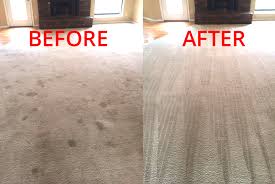 DIY carpet cleaning Auckland Service